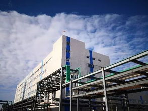 喜報 中化鋰電產(chǎn)業(yè)又一重大項目在浙江長興開建