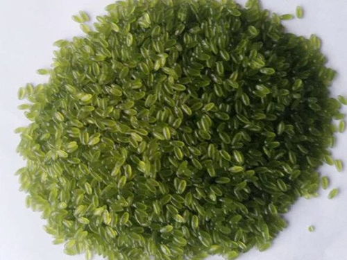 玉米雜糧設(shè)備,黃金米設(shè)備,玉米雜糧面條設(shè)備,雜糧速融粥設(shè)備,雜糧方便面設(shè)備,長春市盛達(dá)食品工業(yè)研究所機械廠