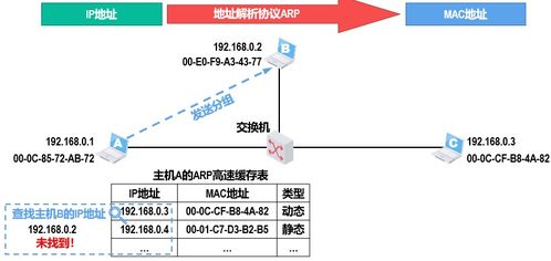 計算機網(wǎng)絡(luò)第四層 網(wǎng)絡(luò)層技術(shù)開發(fā)與應(yīng)用