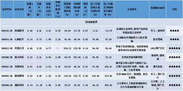 聚焦科創(chuàng)首批五星新股 計算機(jī)軟硬件技術(shù)開發(fā)引領(lǐng)創(chuàng)新浪潮