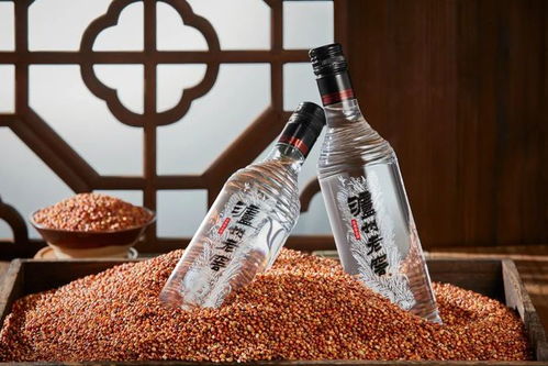 老窖熱與光瓶熱 白酒零售市場的消費新趨勢解析