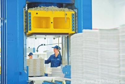 三問深加工 如何擴(kuò)大竹產(chǎn)品版圖