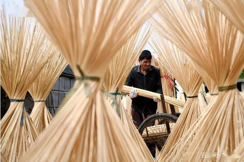 古田竹農(nóng)復工忙，竹制品加工煥發(fā)新活力