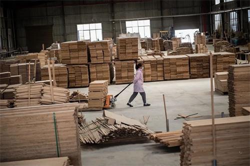 貴州天柱 萬(wàn)畝金竹“雕”出山，竹制品加工繪就綠色產(chǎn)業(yè)新畫卷