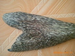 農(nóng)佳佳竹木加工產(chǎn)品列表 匠心打造綠色竹制精品