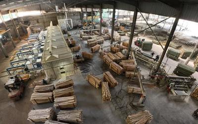 景寧東坑鎮(zhèn) 竹制品加工敲開“致富門”，綠竹生金促振興